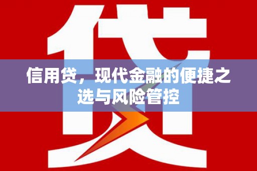 红安信用贷，现代金融的便捷之选与风险管控