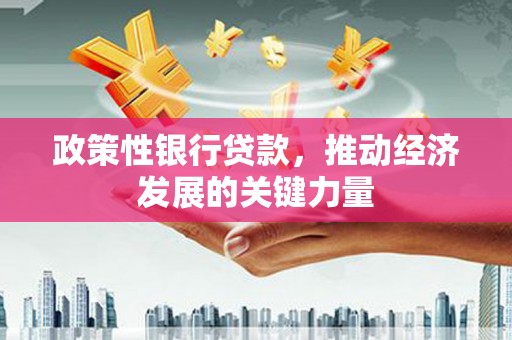 红安政策性银行贷款，推动经济发展的关键力量