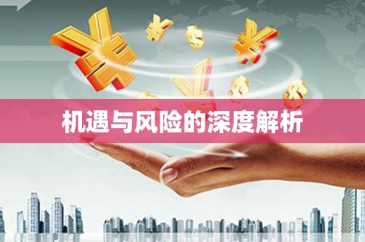 红安机遇与风险的深度解析