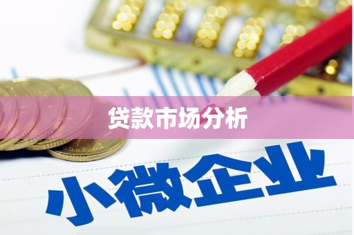 红安贷款市场分析