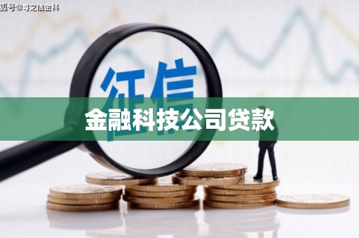 红安金融科技公司贷款