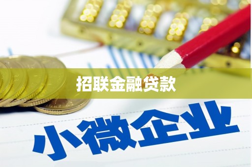 红安招联金融贷款