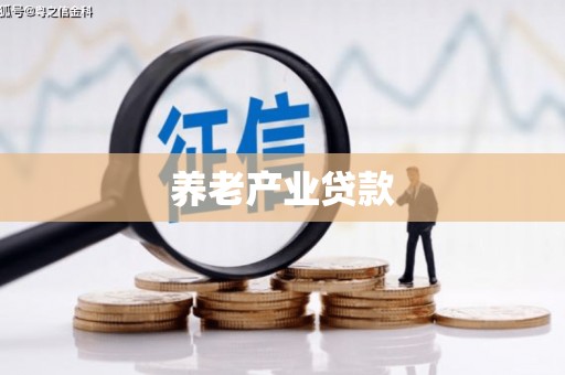 红安养老产业贷款
