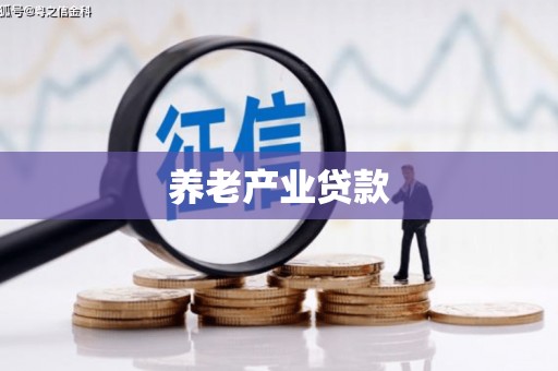 红安养老产业贷款