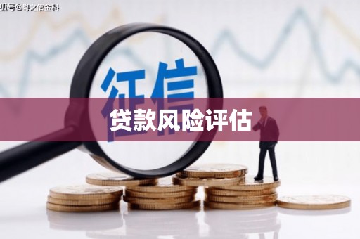 红安贷款风险评估