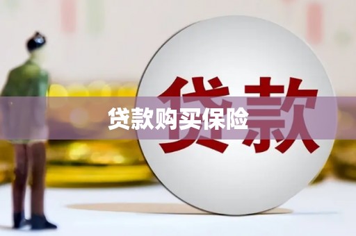 红安贷款购买保险