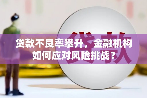 红安贷款不良率攀升，金融机构如何应对风险挑战？