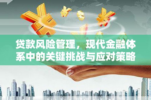 红安贷款风险管理，现代金融体系中的关键挑战与应对策略