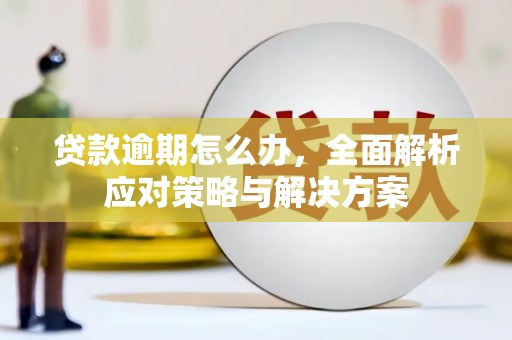 红安贷款逾期怎么办，全面解析应对策略与解决方案