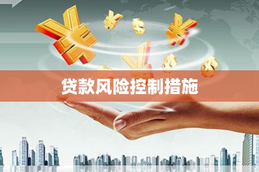 红安贷款风险控制措施