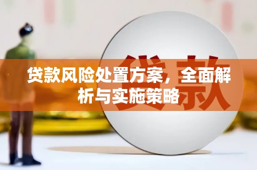 红安贷款风险处置方案，全面解析与实施策略