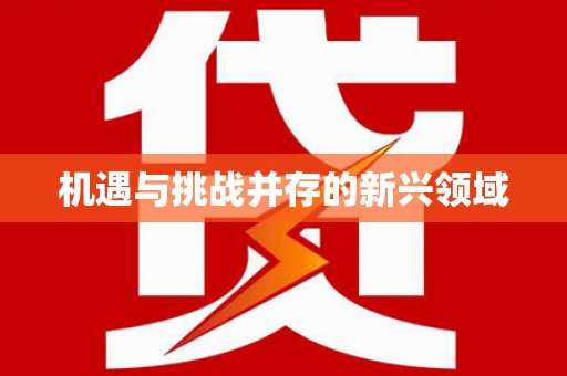 红安机遇与挑战并存的新兴领域