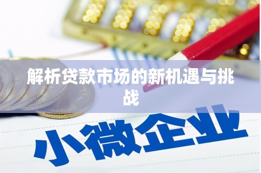 红安解析贷款市场的新机遇与挑战